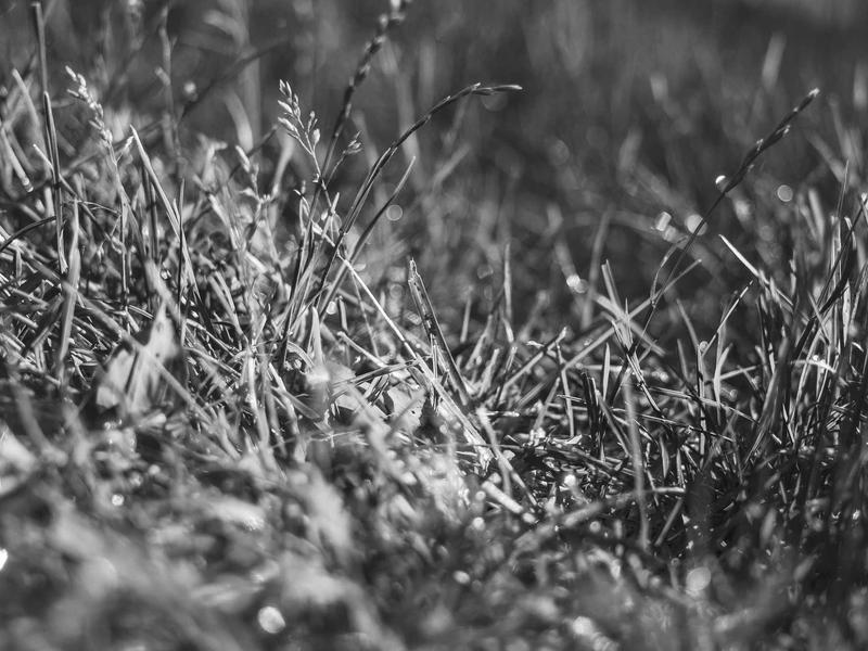 sudoku morning routine screenshot 2